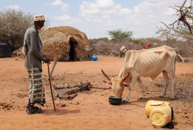 Drought-affected-community-Hassan